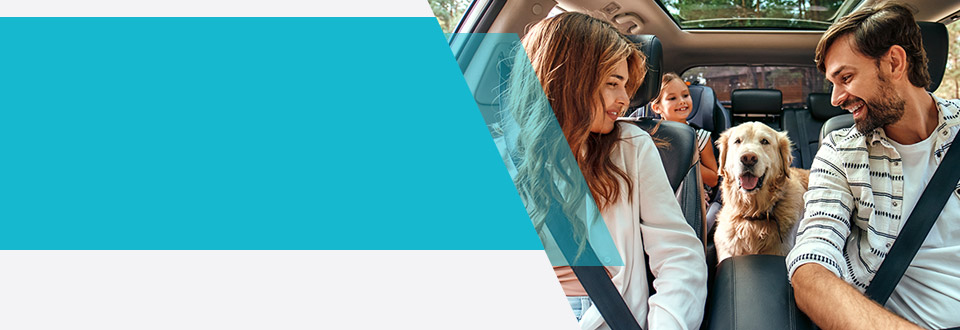 Подновяване на винетка